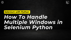 How To Handle Multiple Windows in Selenium Python